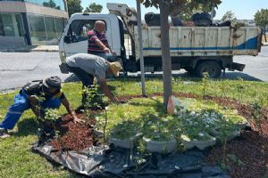 Silivri'de park ve yeşil alanlara ekstra bakım mesaisi