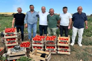 AK Parti’den Değirmenköy’dehasat ziyareti