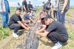 Silivri Tarım Lisesi’nde kayıtlar başladı