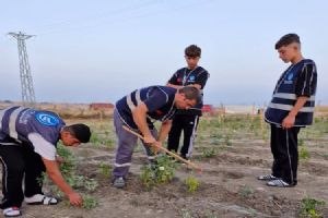 Silivri Ülkü Ocakları Gençlerle Permakültür hamlesini sürdürüyor
