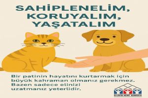 Silivri Kent Konseyi’nden çağrı: Onlar bizim sessiz dostlarımız