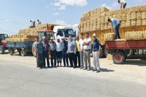 Silivri Belediyesi’nden Beyciler’de üreticiye saman desteği
