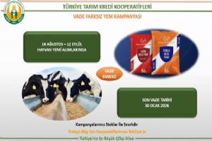 Silivri Tarım Kredi’den Üreticiye Vade Farksız Yem Kampanyası