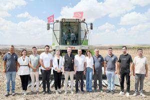 Silivri Belediyesi’nde Ayçiçeği hasadı başladı