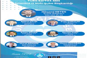 Mesut Özdoğan, Türk Eğitim Sen İstanbul 11 Nolu Şube Yönetiminde