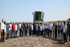 Silivri Gazitepe’de Ayçiçeği Hasadı gerçekleşti