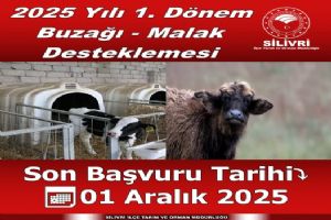 2025 Yılı 1. Dönem Buzağı Ve Malak Desteklemesi başladı