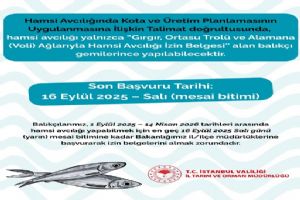 Hamsi avcılığı için son başvuru 16 Eylül’de sona eriyor