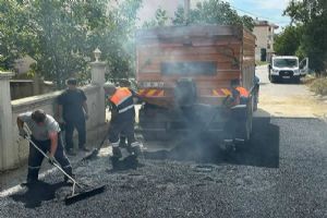Silivri Belediyesi ekiplerinden saha çalışmaları