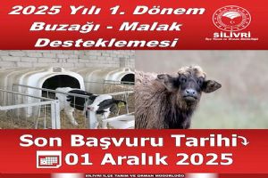 2025 Yılı 1. Dönem Buzağı Ve Malak Desteklemesi başladı