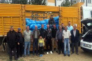 Silivri Belediyesi’nden Hayvancılara 3.500 Çuval Tritikale Yemi Desteği