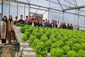 Silivri Tarım Lisesi Öğrencilerinden Avrupa Destekli Topraksız Tarım ziyareti