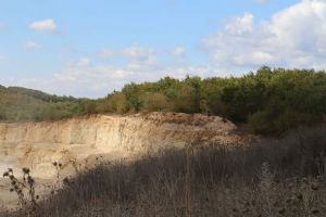 Silivri Danamandıra’da ağaç kesimi yeniden başladı