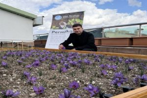 Ülkü Ocakları Genel Merkezi’nde çatıdan hasat: “Her yer üretim alanına dönüşebilir”