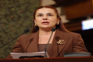 Silivrili MHP Meclis Üyesi Sultan Aşkın’dan İSKİ bütçesine sert eleştiri