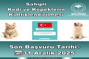 Silivri İlçe Tarım Müdürlüğü: Kedi ve köpeklerde mikroçip için son tarih: 31 Aralık 2025