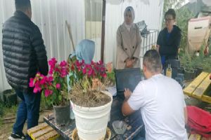 Silivri Çeltik Mahallesinde kapsamlı tarımsal kontroller