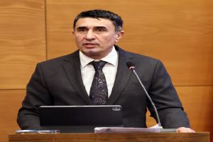 Silivri AK Parti Grup Başkanvekili: Kumandayı bulamayan televizyonu bozuk sanır