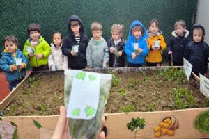 Silivri Odak Koleji Öğrencileri ekti, büyüttü, hasadını yaptı: Ispanaklar emiğin meyvesi oldu