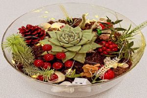 link Silivri Şerife Baldöktü’de 11. Sınıf Öğrencilerinden Teraryum Sergisi