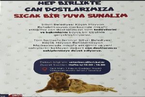 Silivri Kent Konseyi: Hep birlikte can dostlarımıza sıcak bir yuva sunalım