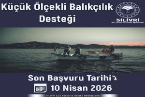 link Küçük Ölçekli Balıkçılık Desteği başvuruları başladı