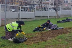Silivri’de yeşil alanlarda bakım çalışmaları sürüyor