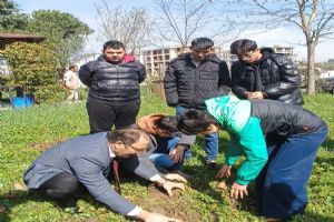 link Silivri Halk Eğitim Merkezi’nde E-KPSS Sınıfıyla Orman Haftası Etkinliği