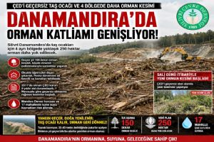 Silivri Danamandıra’da orman katliamı genişliyor