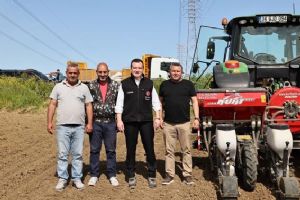 Silivri’de ayçiçeği ekimi başladı