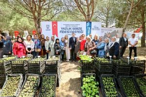 Silivrili kadın üreticilere fide desteği
