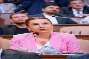 MHP Grubundan İBB’ye vektörle mücadele soruları