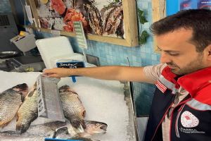 Silivri'de Su Ürünlerine sıkı denetim