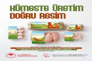 link Kanatlı ürünlerinde yeni dönem: Yanıltıcı görsellere yasak