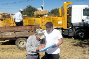 Silivri Belediyesi'nden üreticilere saman balyası desteği