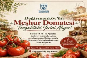 link Silivri Değirmenköy’ün meşhur domatesi tezgâhlardaki yerini alıyor