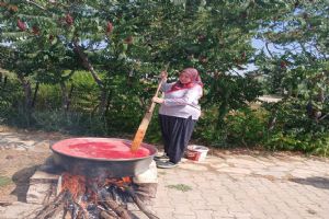Silivri’de Kara Mürver hasadı: Şurup ve karpuz pekmezi üretiliyor
