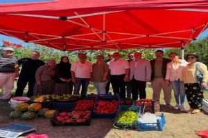 link Silivri’de ata tohumlarıyla doğal üretim: Hasada katıldılar