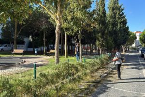 Silivri’de yeşil alanlarda bakım çalışmaları sürüyor