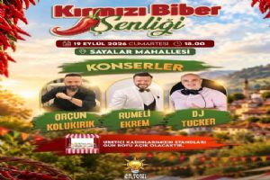link Silivri'de Kırmızı Biber Şenliği'ne AK Parti desteği