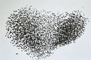 Silivrili fotoğraf ve resim sanatçısı Emine Toprak’a “Kalpten Kareler” Yarışmasında mansiyon