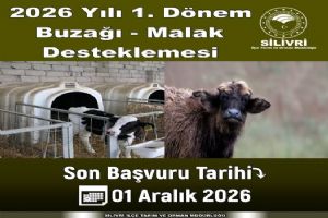 link Buzağı ve Malak Desteğinde son başvuru 1 Aralık