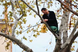 link Gümüşyaka’da kuşlara yeni yuvalar