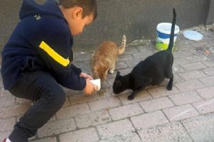 link Silivri'de minik öğrencilerden sokak hayvanlarına mama desteği