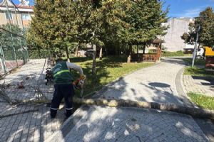 Silivri’de yeşil alanlarda bakım çalışmaları sürüyor
