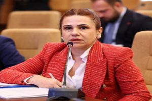 Silivri Seymen’de Metan tartışması mecliste: “Ölçümler açıklansın”