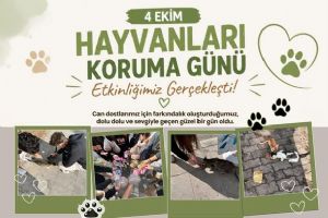 link Silivri Tarım Lisesi öğrencilerinden sokak hayvanlarına anlamlı destek
