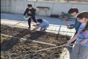 link Silivri BİLSEM öğrencilerinden Atalık Tohum Projesi