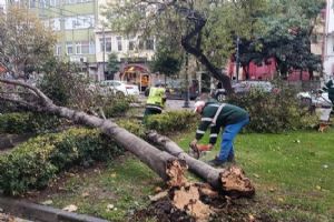 Silivri’de fırtınanın olumsuzluklarına Belediye Ekiplerinden müdahale
