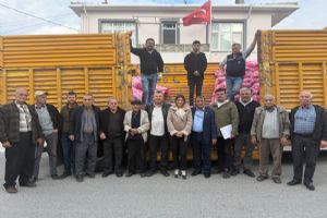 link Silivri Büyükçavuşlu, Akören ve Alipaşalı çiftçilere buğday tohumu desteği